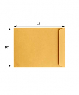Giant Envelope 10" X 12" (A4)